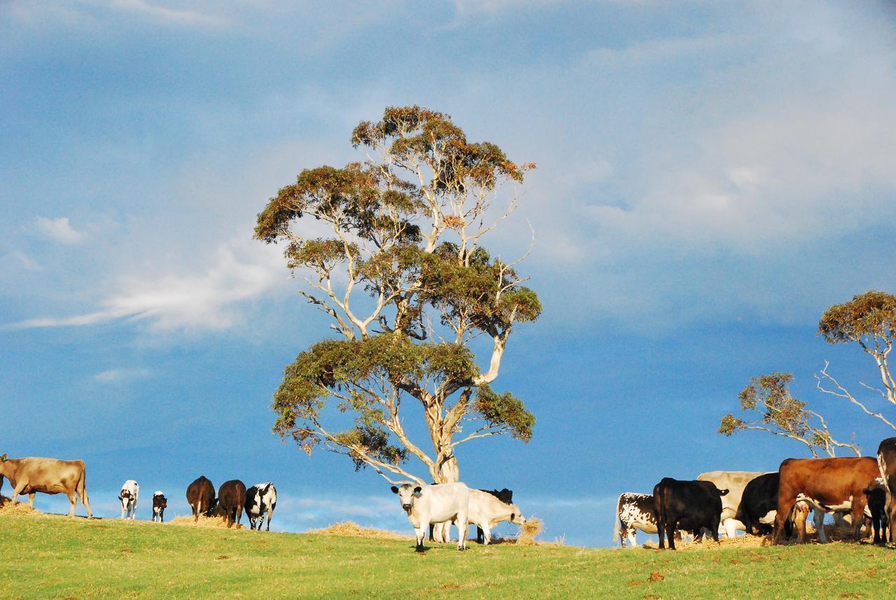 Back Valley Farmstay Bed And Breakfast Victor Harbor Exterior foto